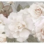 Cuadro rosas blancas con hojas verdes